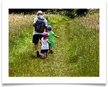 Exploring Spud Wood - Jan Hodson